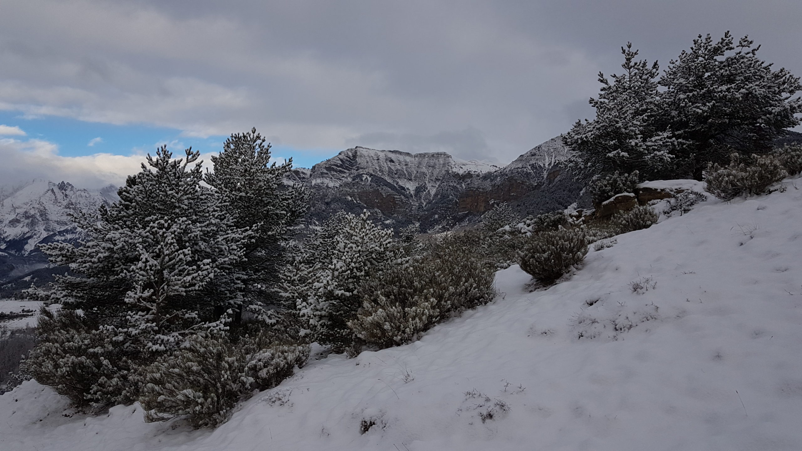 Le territoire communal de chasse sous la neige