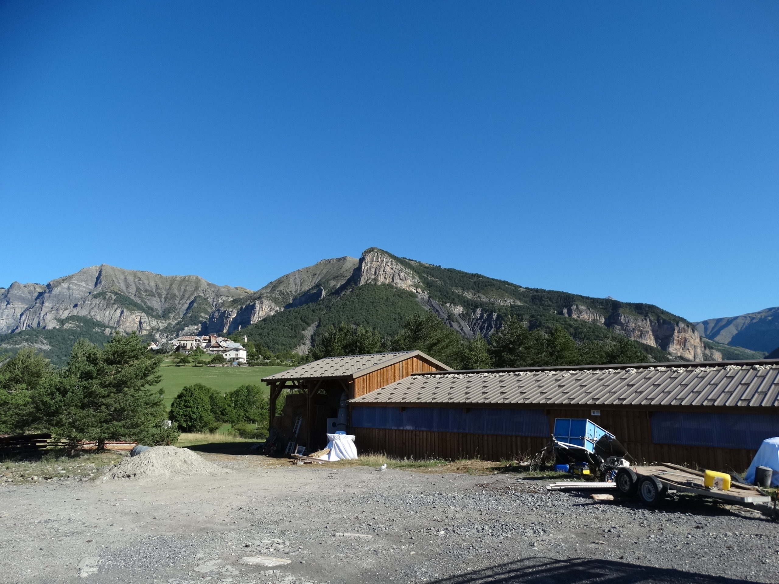 Brebis de la Ferme de la Barlatte