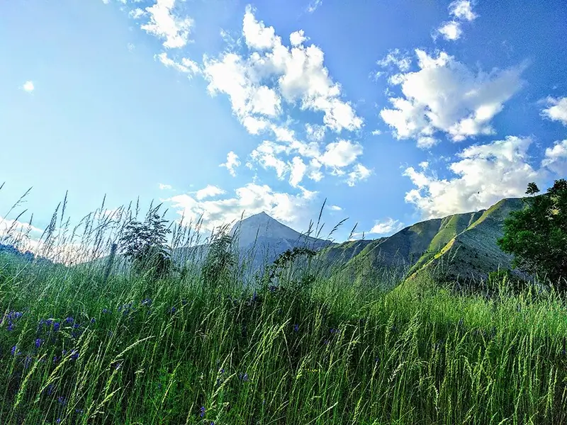 Prairies d'altitude au-dessus du village, face aux cimes